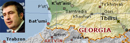 Website of Georgian President Under Attack, Political Motivation Suspected