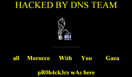 Gaza Conflict Spilling Over Into the Internet, Cyberwar Underway